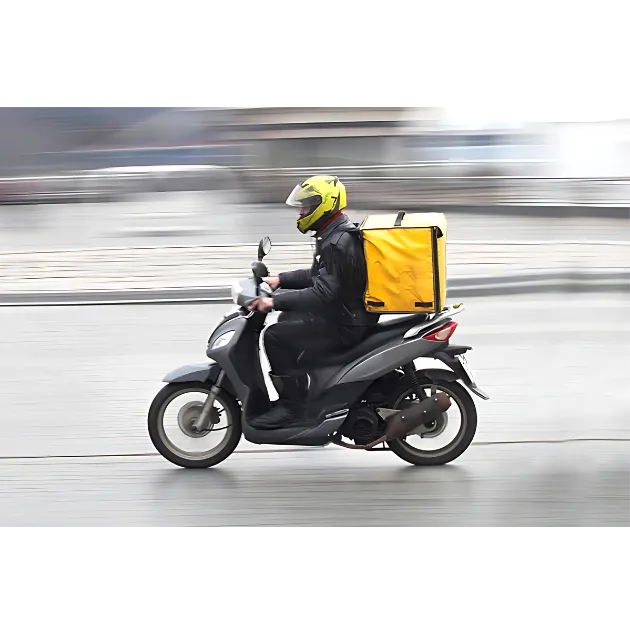 The Karnataka Platform Based Gig Workers (Social Security and Welfare) Ordinance, 2025