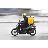 The Karnataka Platform Based Gig Workers (Social Security and Welfare) Ordinance, 2025